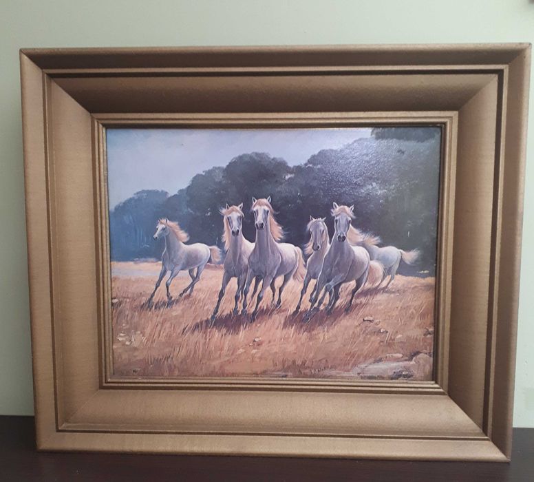 OBRAZ konie w galopie