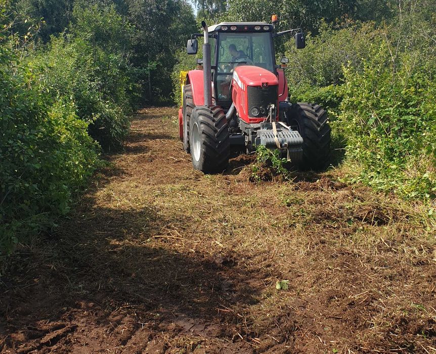 wycinka rekultywacja koszenie mulczowanie czyszczenie działek