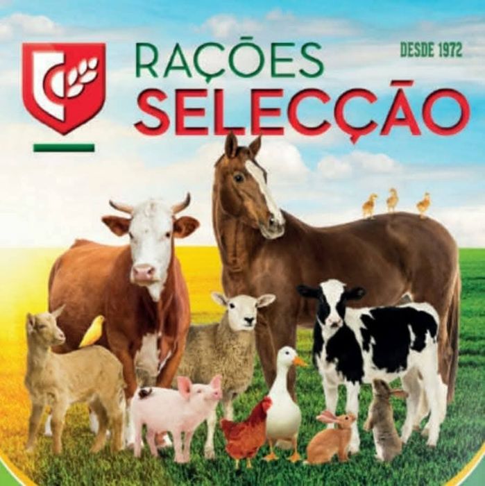 Rações misturas cereais ao melhor preço,