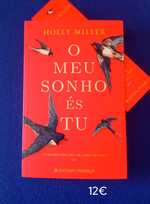 O MEU SONHO ÉS TU / Holly Miller - portes incluídos