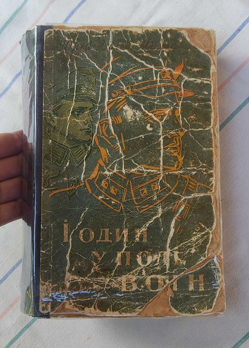 Юрій Дольд-Михайлик - І один у полі воїн