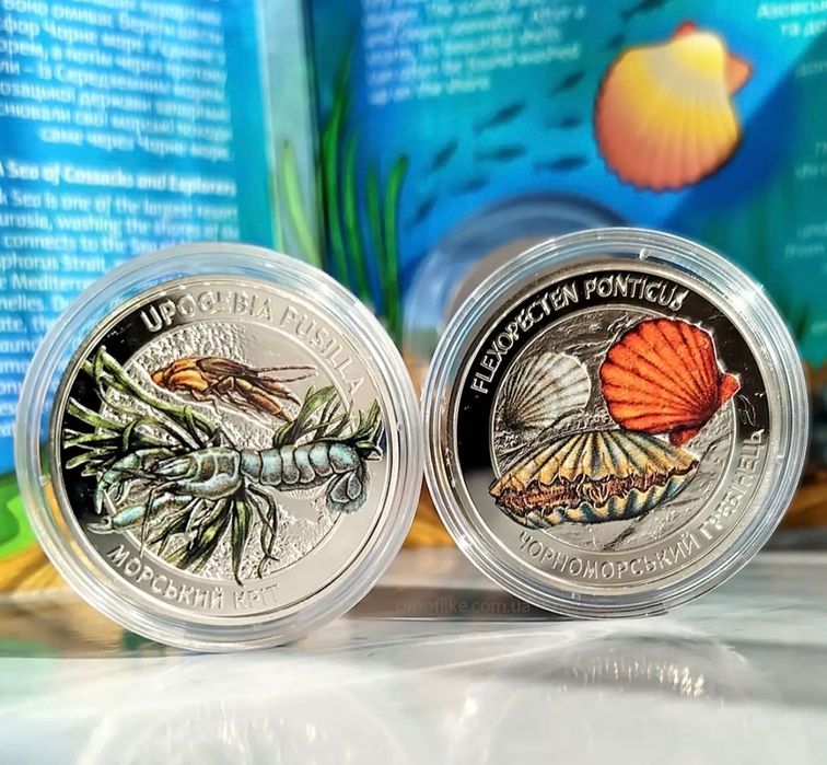Мешканці морських глибин 2025 2026