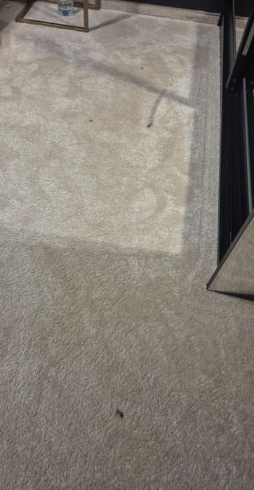 Pranie Tapicerki Meblowej, Dywanów i Wykładzin. ATRAKCYJE CEY!!