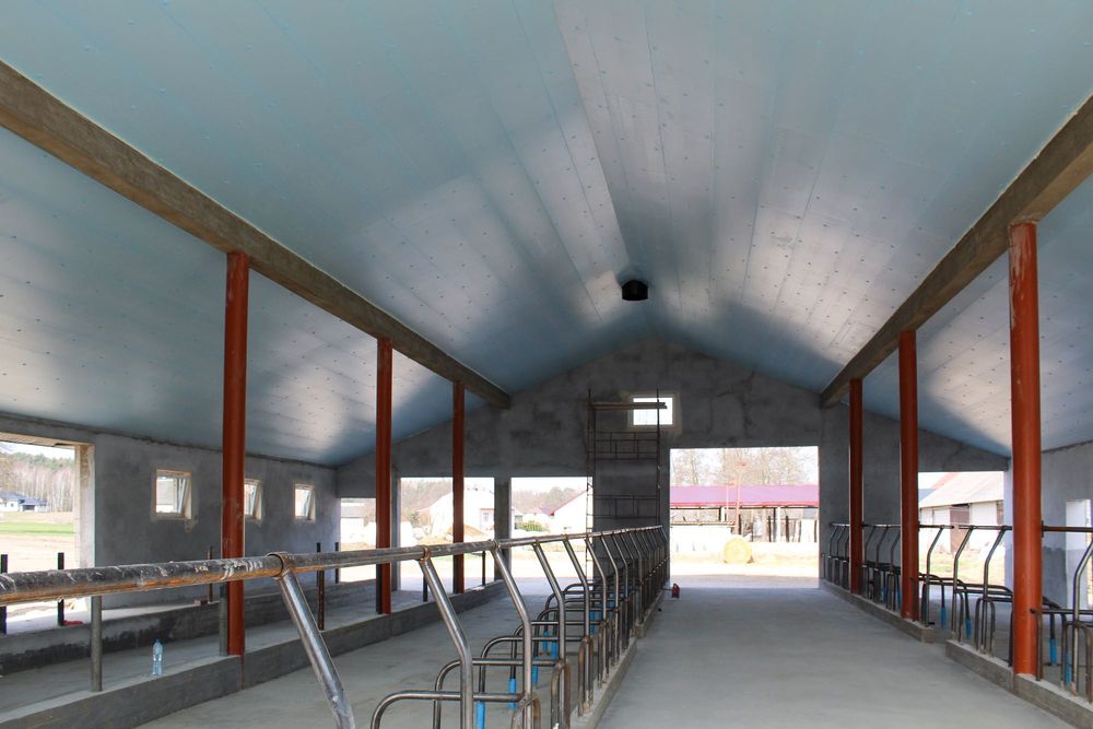 Termoizolacja Dachu Stropu Podsufitka Podbitka Płyta Styrodur XPS AGRO