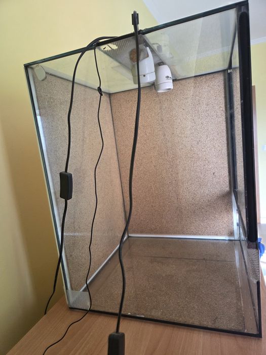 Terrário para repteis