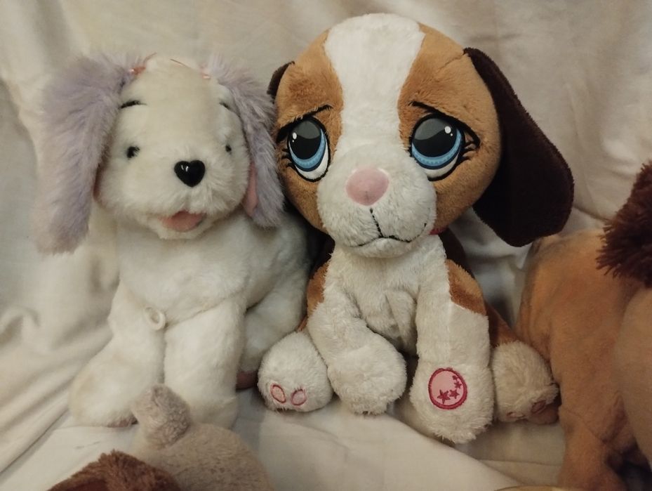 Dogs pieski mówiące interaktywne