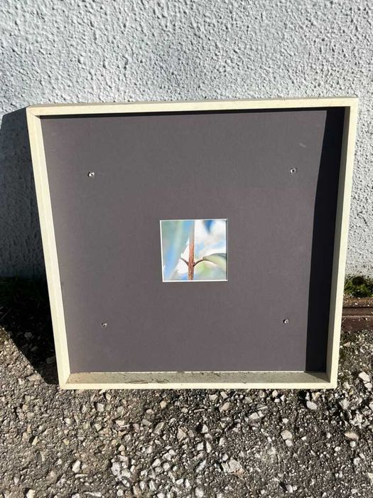 fotografia contemporanea