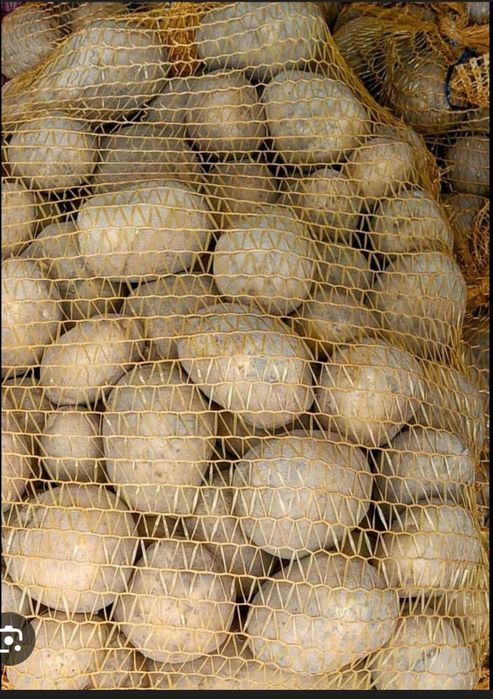 Ziemniaki żółte jadalne