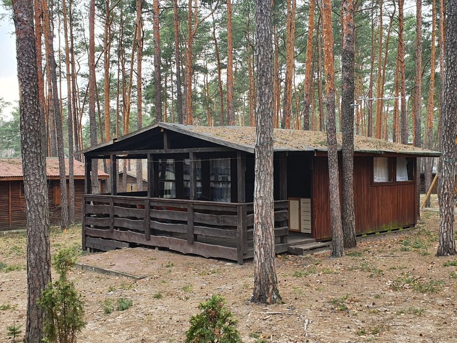 WOLNY Domek od 02.08