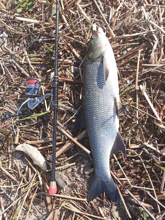 Cпінінговe вудлище Azura X-Game X94ML 2.85 м 4-22г.