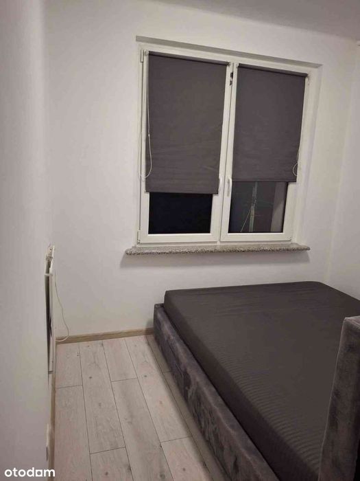 Zdjęcie 5
