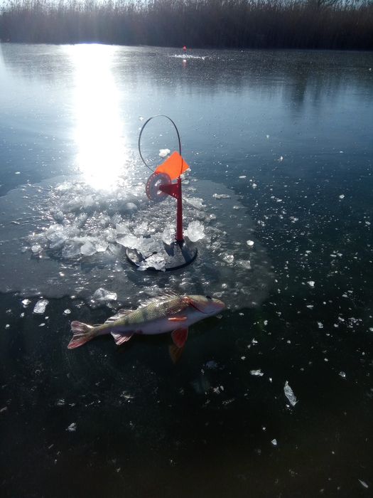 Жерлиці Якісно Оснащені,Поводці флюрокарбонові