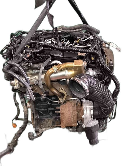 Motor Completo AUDI A6 C6 2.0 TDI (100 kW / 136 cv) [07.2004 - 03.2011] CAGA (OEM)