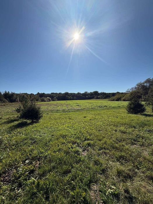 Земельна ділянка з будинком|с.Соснівка|Рівненська обл