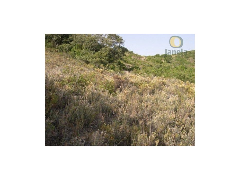Terreno com 1120 m2