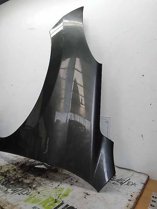 Guarda-lamas esquerdo PEUGEOT 207 SW (WK_)