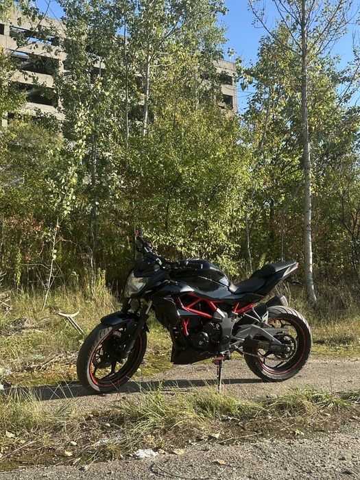 Kawasaki z250sl 2018