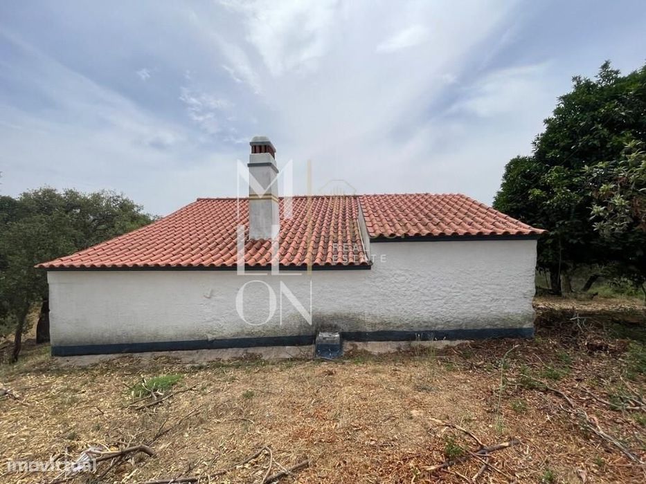 Oportunidade em Montes da Senhora, Proença-a-Nova: Moradia + vários