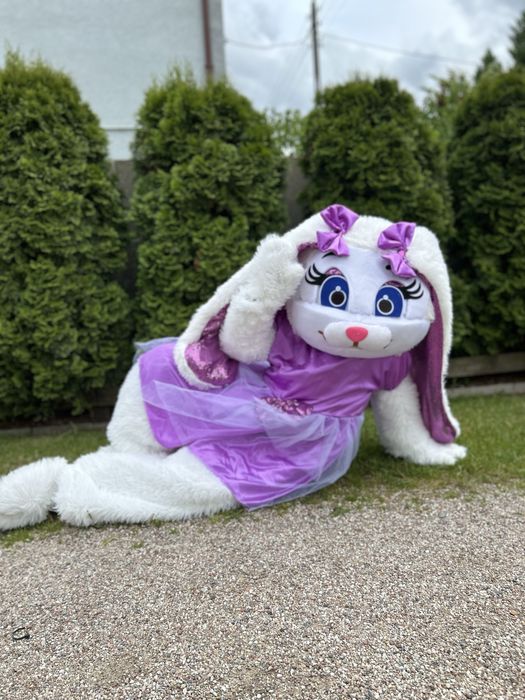Maskotka na impreze striptizerka striptizer Miś Panda Królik Animacje