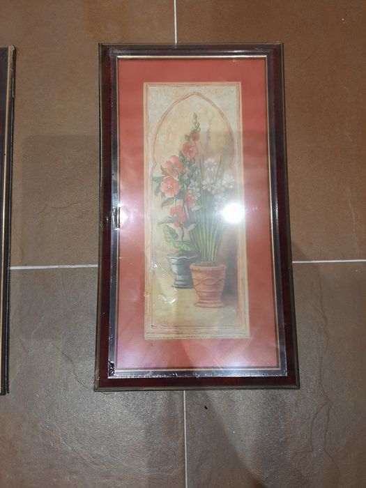 Quadros sobre plantas