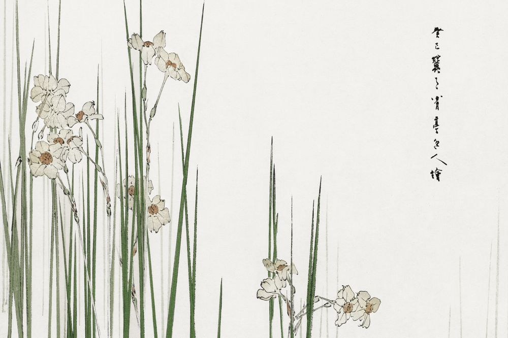 Plakat 30x20cm Jonquil, Bijutsu Sekai Japoński Vintage