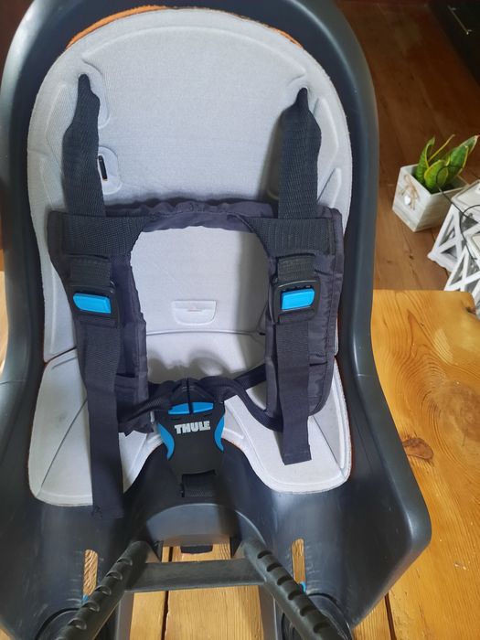Fotelik rowerowy przedni thule Ride along mini