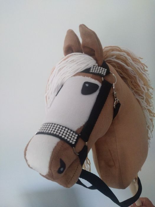 Hobby Horse-koń na kiju