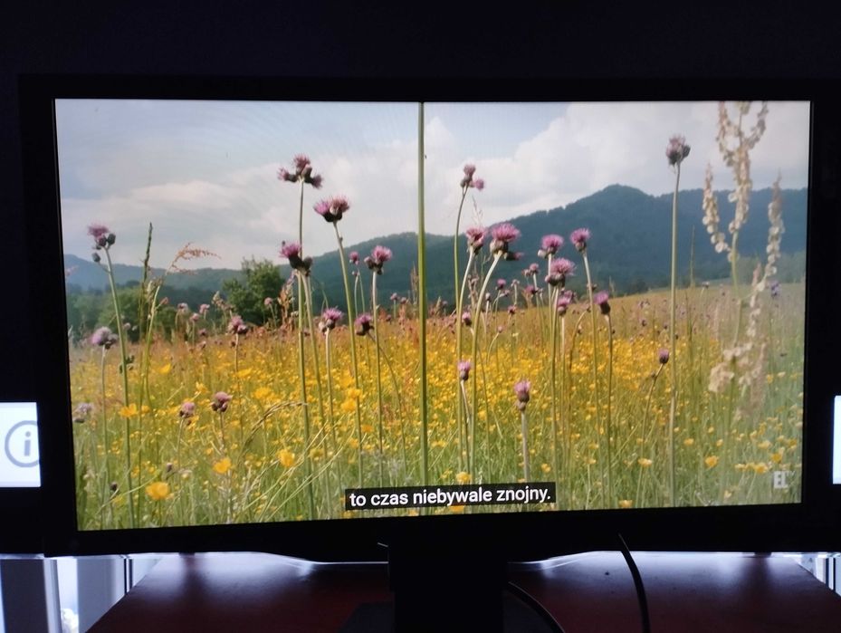 Monitor Eizo Foris FG2421PL czarny