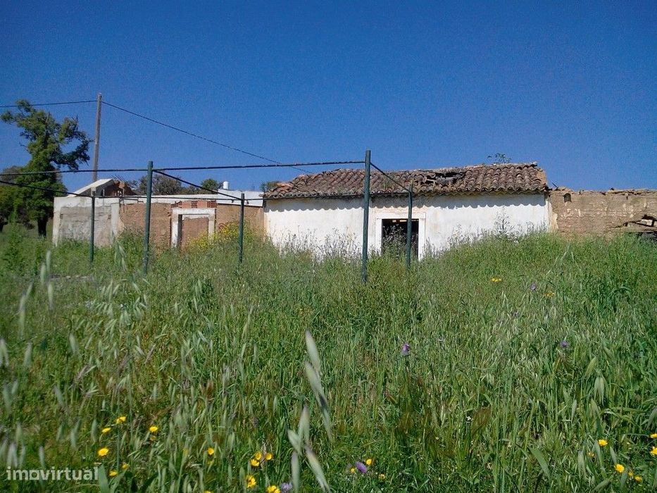Monte Alentejano para recuperar.