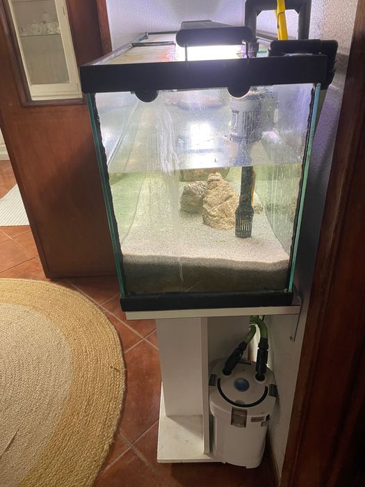 Aquário completo
