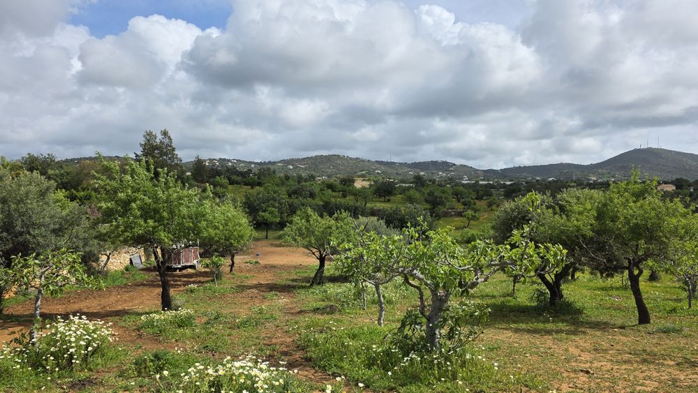 Terreno Rústico com Área Urbana – Estoi, Faro
Terreno rústico à venda