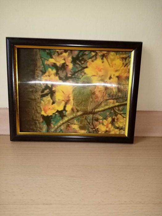 Obrazek ptaszka trójwymiarowy