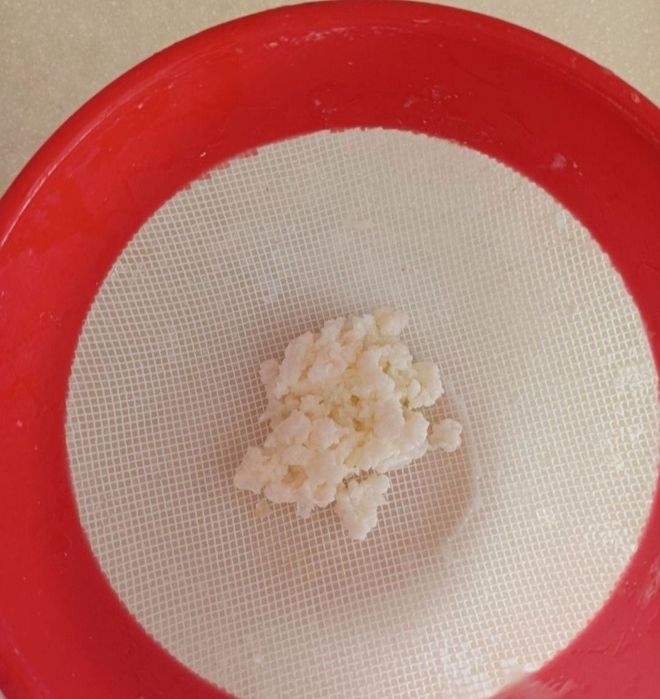 Grzybek tybetański wysyłka w plastikowej butelce