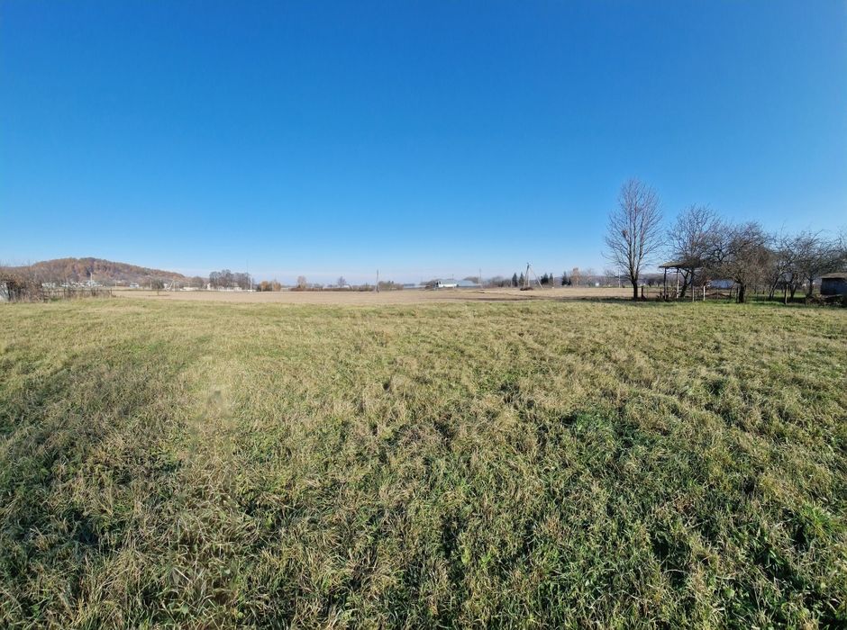 Простора ділянка