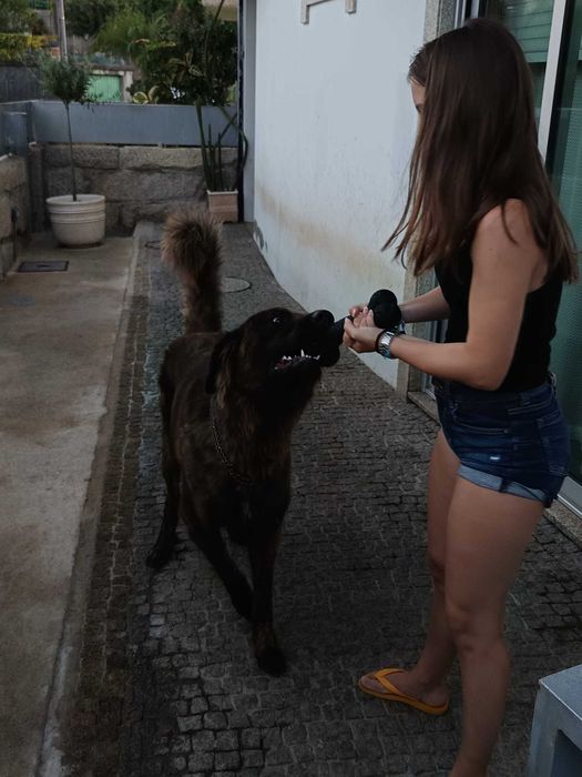 Gil procura Familia de raça