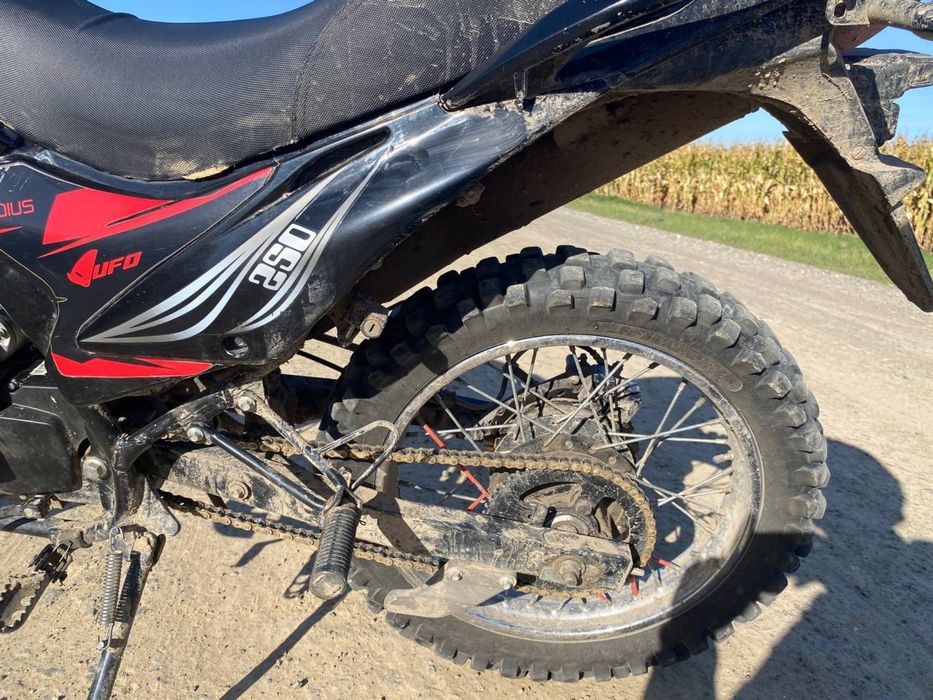 Forte kross 250 2021 рік