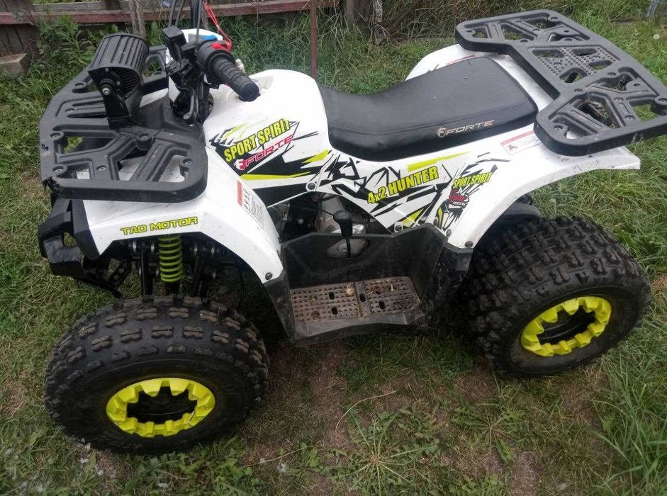Квадроцикл Forte Sport Spirit 4x2 HUNTER