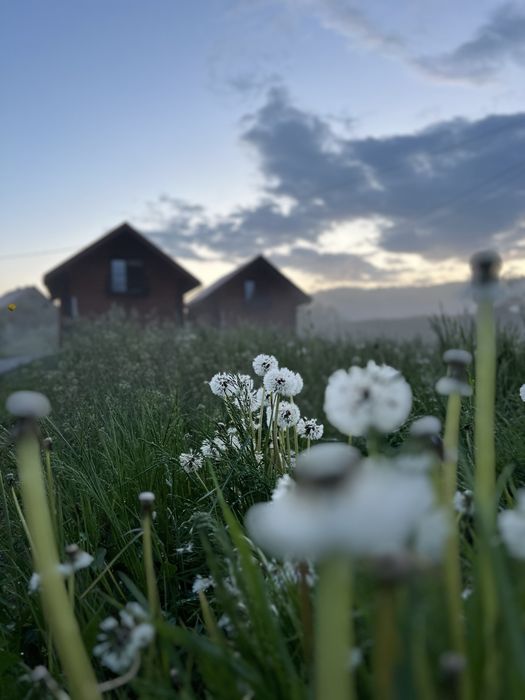 Котеджі«Затишний двір»с.Ізки,відпочинок у карпатах,оренда будинкужитла