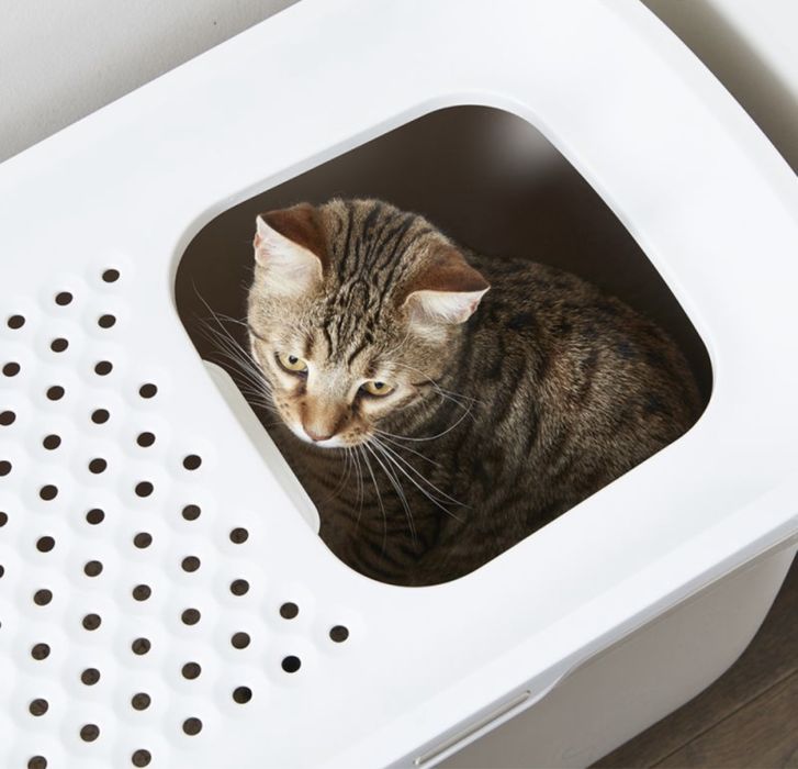 LOJA!! Wc Gatos Hop In caixa de areia - NOVO!!
