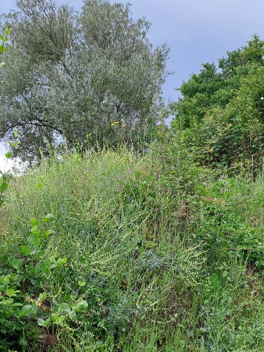 Venda de terreno com 2 600 m2 em Babe - Bragança
