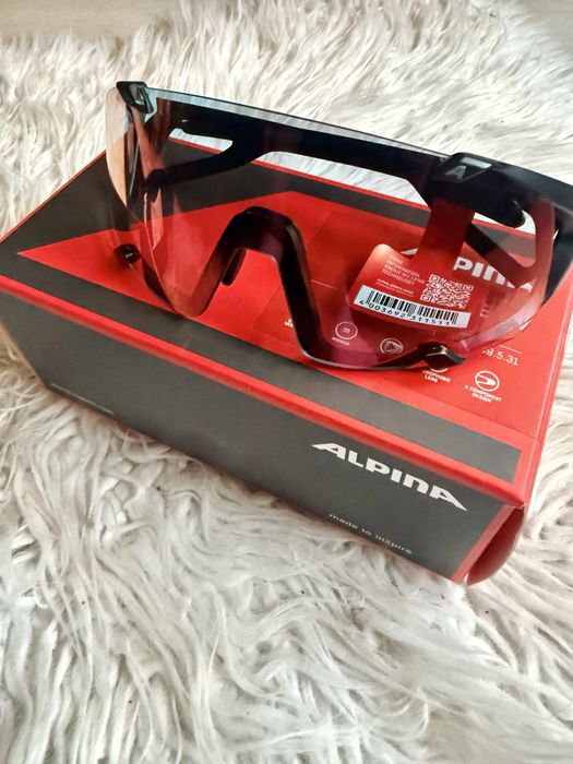Okulary Alpina Hawkeye QV