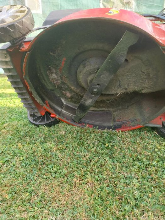 Oferuje kosiarkę 53cm  HORTMASZ   .