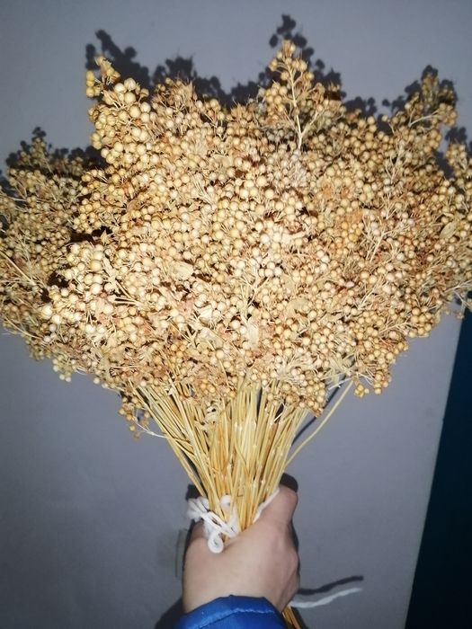 Продам сухоцвіти для творчості