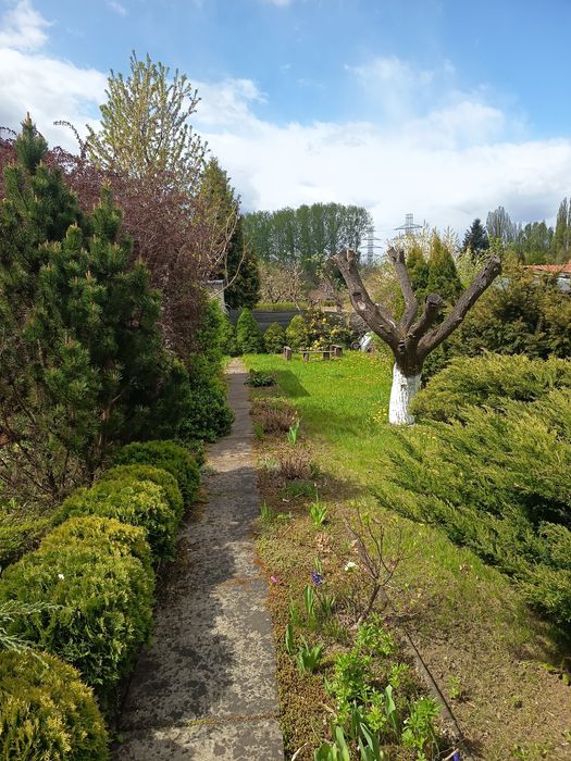 Ogródek działkowy ROD - Widok 2