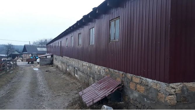 Приватне господарство с. Стіжок Тернопільська область