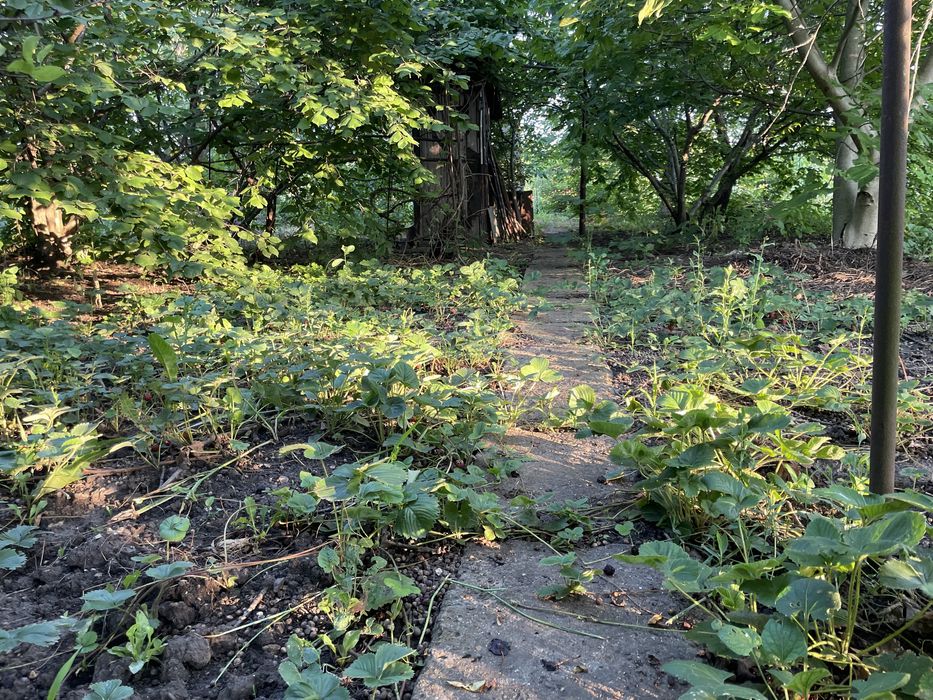 Дом, участок 16 соток (под застройку)