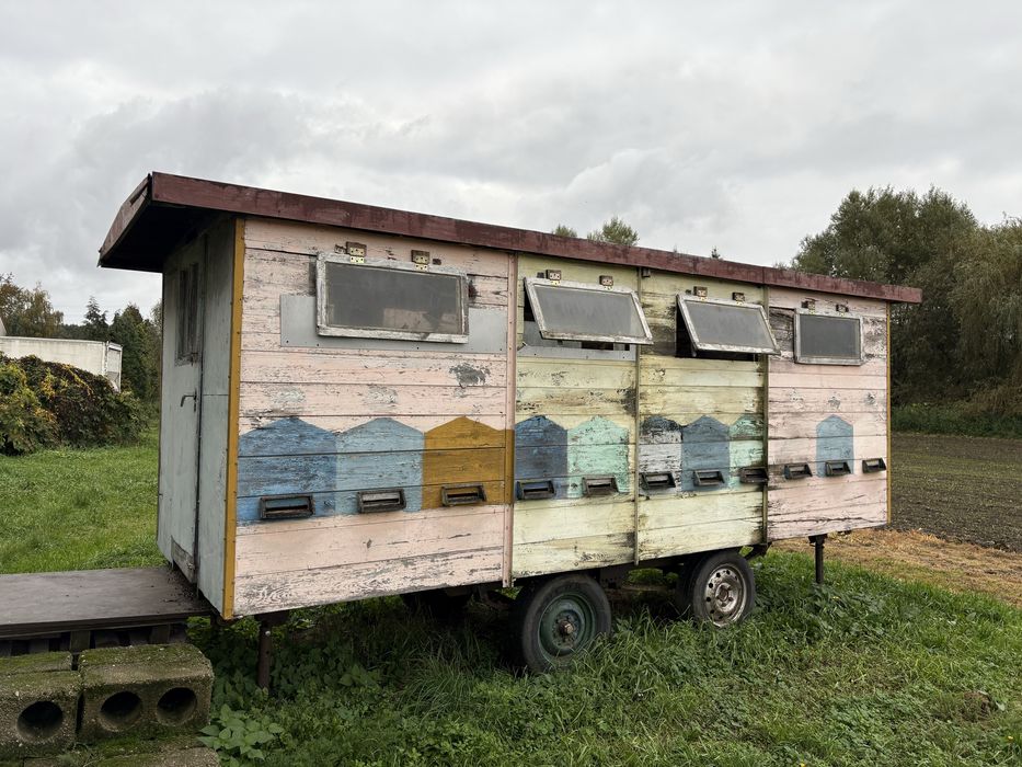 Pasieka, ule, pszczoły.