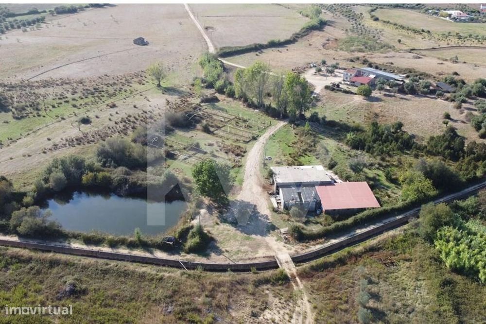 Herdade com cerca de 50ha em zona de Regadio do Ladoeiro Idanha a Nova