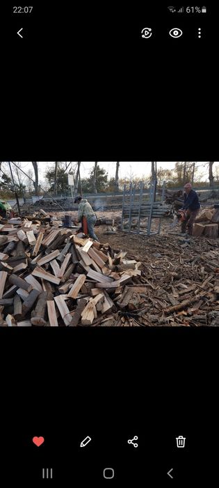 Lenha cidreira coimbra