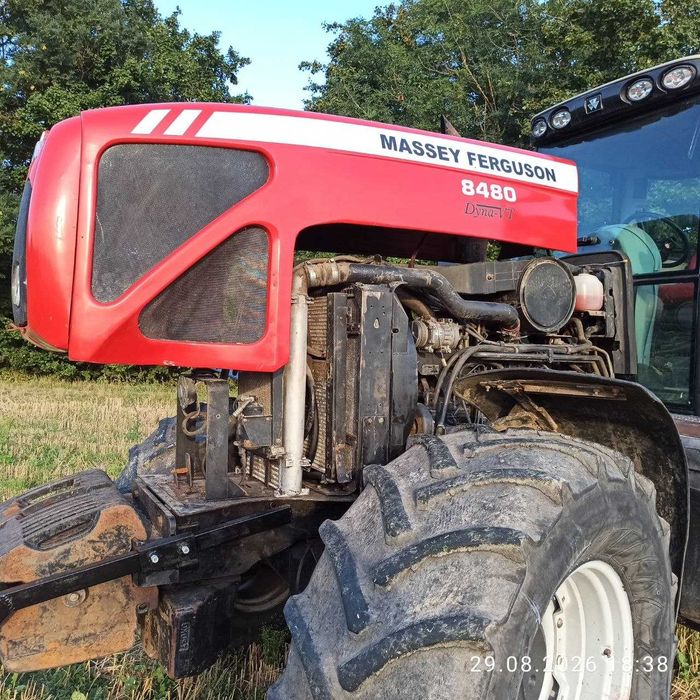 Трактор Massey Ferguson 8480